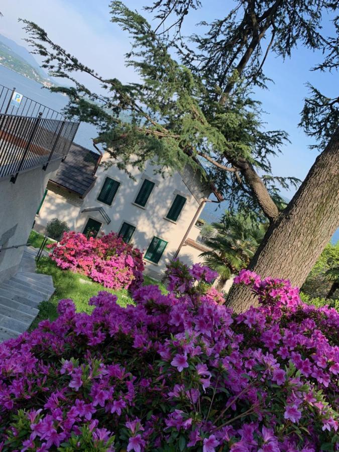 Giardini Magnolia Apartment Belgirate Exterior photo